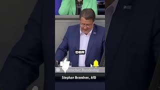 Stephan Brandner AfD zur Mutter und Vaterschaft ‍‍ #afd #bundestag #politik