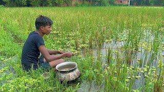 Fishing Video The boy is fishing with a hook in rainy day the beautiful rice field of the village