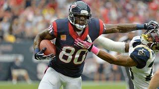 Andre Johnson Highlights