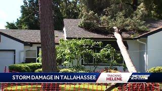 I jumped up and there it was Tallahassee resident talks about Hurricane Helene damage