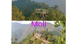 Moli#Okhaldhunga_View Of Moli Dada