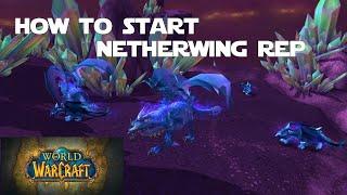 How to Get Started with the Netherwing Faction and Get your Netherwing Drake