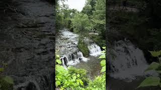 Niagara River Rapids  Nature #Shorts  Niagara Falls State Park  Waterfall Wednesday  View 8