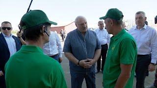 Лукашенко в поле Ну ты меня господином не величай  Минский район. Уборочная