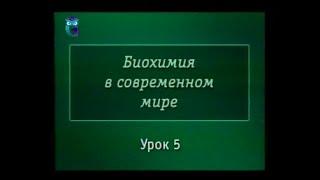 Биохимия. Урок 5. Значение ферментов. Углеводы моносахариды