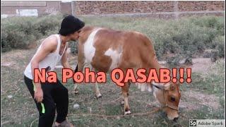 Bakra Eid and Seasonal Qasabgars Khpal Vines Pashto Very funny video 2020