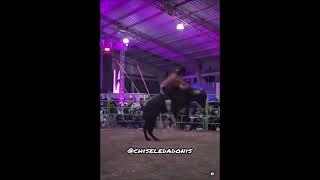 Bull Rider Gets KOed ON THE BULL