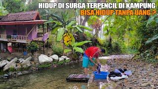 HIDUP DI RUMAH PONDOK HUTAN DI TEPI SUNGAI MENANAM BERBAGAI SAYURAN DAN BUAH UNTUK KEBUTUHAN HIDUP