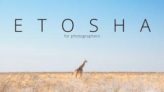 Beautiful ETOSHA For Traveling Photographers What To Expect