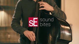 SoundBites RN17 + Upright Bass