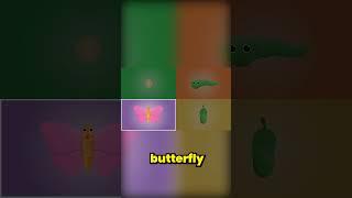 A Butterfly is a Cold Blooded Insect - Butterfly Song #shorts #butterfly #teaching