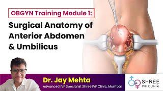 OBGYN Training Module 1 Surgical Anatomy of Anterior Abdomen & Umbilicus  Port Entry in Umbilicus