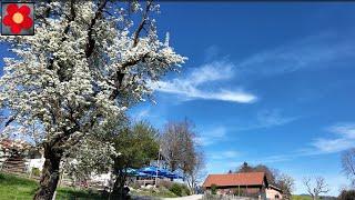 Zum Gasthof Guglhör mit schöner Aussicht