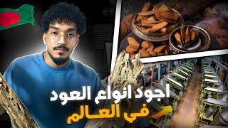 مزارع العود في بنجلاديش الكنز الأسود  