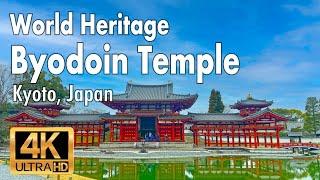 4K Byodoin Temple a World Heritage Site in Kyoto Japan. Walk around the area.