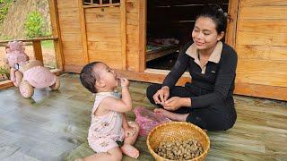 peanut harvest. Fun moments with my daughter