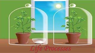 CBSE Class 10 Science - 6  Life Processes   Full Chapter  by Shiksha House