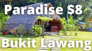 Bukit Lawang Jungle Paradise Hotels from $8 Sumatra Indonesia