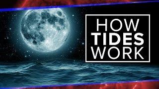 What Physics Teachers Get Wrong About Tides  Space Time  PBS Digital Studios