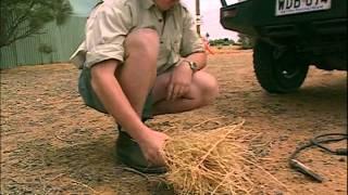 Ray Mears Extreme Survival  S02E03 - Outback Survival