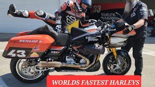 KING OF THE BAGGERS 186 HP & 185 MPH HARLEY DAVIDSON VS INDIAN FACTORY RACE TEAMS