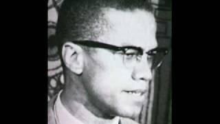Malcolm X - You Cant Hate the Roots Of A Tree