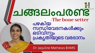 changalamparanda  ചങ്ങലംപരണ്ട Bone setter  Dr Jaquline