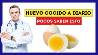 ¿Qué Pasa si Como Huevo Hervido Cocido todos los dias? Esto es lo que OCURRE a tu CUERPO