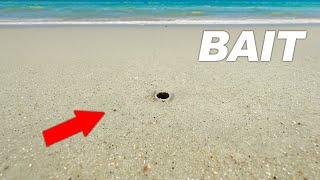 This tiny hole has BIZARRE Fishing Bait.. Fishing Experiment