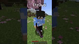 Minecraft sigma