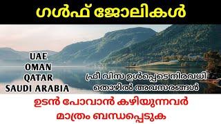 യുഎഇ ഒമാൻ ഖത്തർ സൗദി അറേബ്യ എന്നീ രാജ്യങ്ങളിലേക്ക് വന്നിട്ടുള്ള ഏറ്റവും പുതിയ തൊഴിൽ അവസരങ്ങൾ