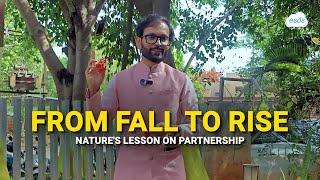 From Fall to Rise Natures Lesson on Partnership