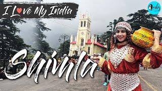 3-Day Getaway To The Queen Of Hills-Shimla  I Love My India Ep - 48   Agoda  Curly Tales