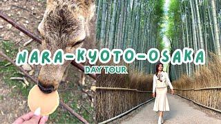 NARA-KYOTO-OSAKA in a Day  Things to do Places to Eat Travel Trips 2024 - Ultimate Guide