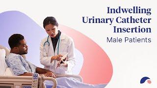 Urinary Catheter Insertion for Males  Ausmed Explains ...