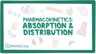 Pharmacokinetics Drug absorption and distribution