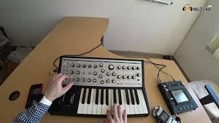 Синтезатор Moog Sub Phatty ОбзорДемонстрацияРаспаковкаOverviewDemonstrationUnpacking