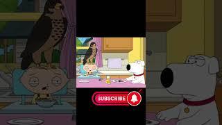 What Do I Do - Family Guy   #shorts #familyguy