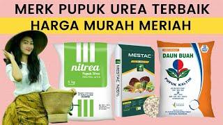 Rekomendasi 8 Merk Pupuk Urea Terbaik Harga Murah Meriah