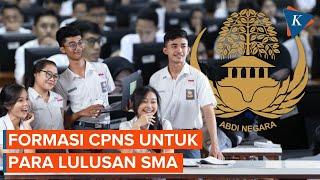 Lulusan SMASMKMA Bisa Daftar CPNS Apa Saja Formasi yang Dibuka?