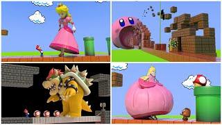 Weird mushroom with Kirby Princess Peach Bowser and Sonic 