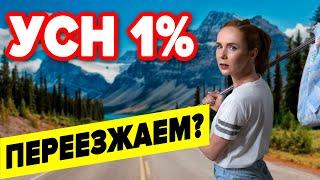 УСН 1% — Льготная ставка  Как уменьшить ставку УСН  Упрощённая система налогообложения