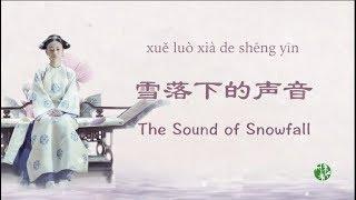 The voice you wont believe it CNENGPinyin The Sound of Snowfall by Zhou Shen - 周深翻唱《雪落下的声音》