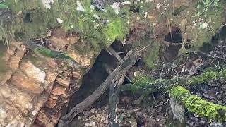 AN ABANDONED PLUGGED MINE SHAFT IN THE OLD DIGGINGS MINING DISTRICT OF SHASTA COUNTY CALIFORNIA