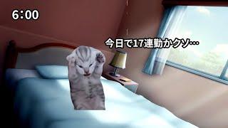 【猫ミーム】過酷な現場監督の日常【仕事辛い】【猫マニ】