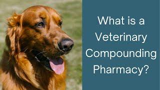 What Is a Veterinary Compounding Pharmacy?