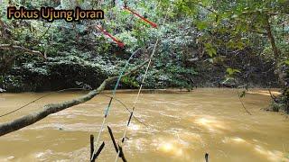 Kewalahan Mancing Ikan Baung Pakai 2 JoranDi Sungai keruhHabis Hujan malah tambah ganas buangnya