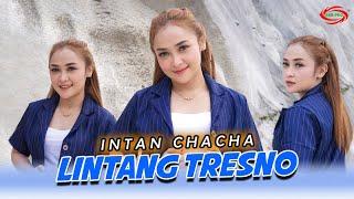 INTAN CHACHA - LINTANG TRESNO