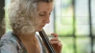 Strings - Violin Viola Cello Bass