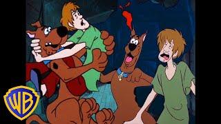 Scooby-Doo  Scaredy Cats Scooby & Shaggy  Classic Cartoon Compilation  WB Kids